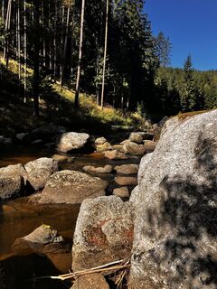 Fotografia z Astrid Kaudela na trase