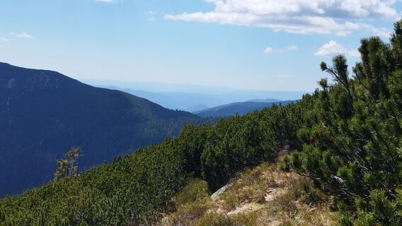 Fotografija s spletne strani György Répássy Dr. na poti
