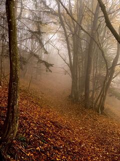 Photo de Leo Fahrngruber le long du parcours