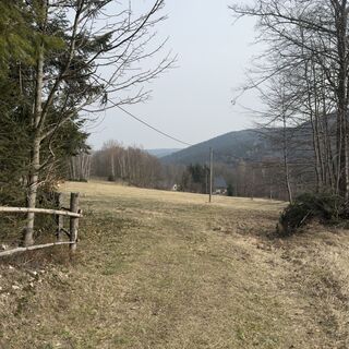 Photo de Steffen Kiesel le long du parcours