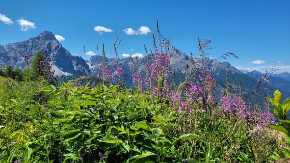 Foto de Juliane Jarke a lo largo del recorrido