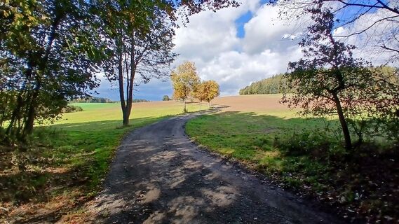 Photo de Fantom RoK le long du parcours