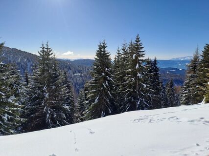 Foto von Elisabeth Thaler entlang der Tour