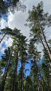 Foto von Paula Heichinger entlang der Tour