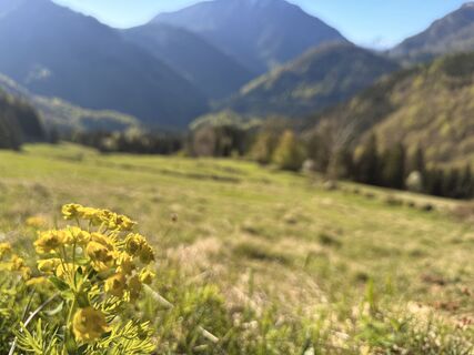 Foto von Natur_erleben_dg entlang der Tour