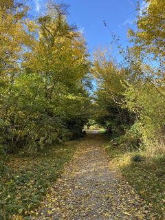 Fotografia z Thomas Handlir na trase