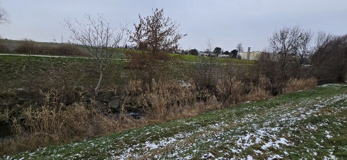 Photo de Sonja F. le long du parcours