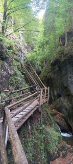 Foto von Cornelia Bruckner-Holzer entlang der Tour