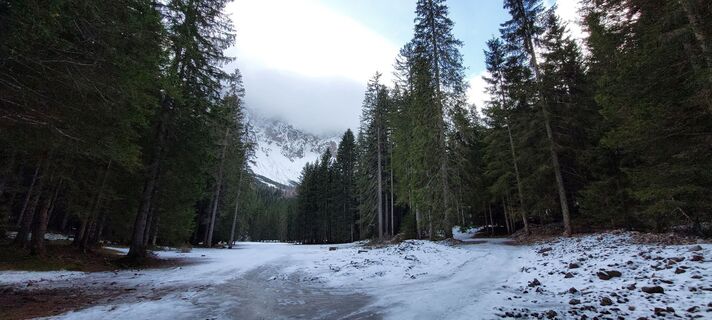 Fotografia z Gabriele Wieser na trase