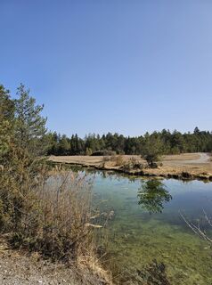 Foto von Martina entlang der Tour