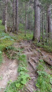 Fotografia z AnnJu na trase