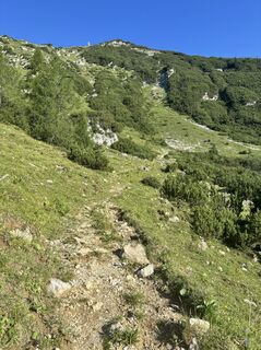 Photo de Robert Hofbauer 1 le long du parcours