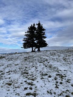 Foto von manfredbrandl entlang der Tour