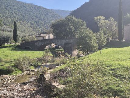 Fotografija s spletne strani Thomi W na poti