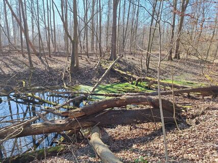 Fotografie z Hermann E. na trase