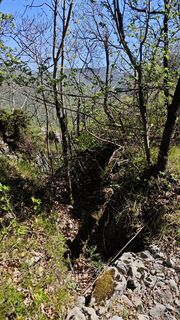 Foto von Franca Škarja entlang der Tour