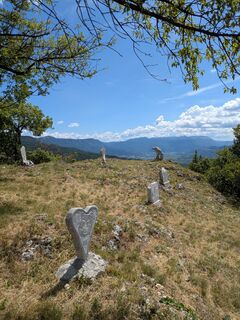 Fotografia z Dennis de Kanter na trase