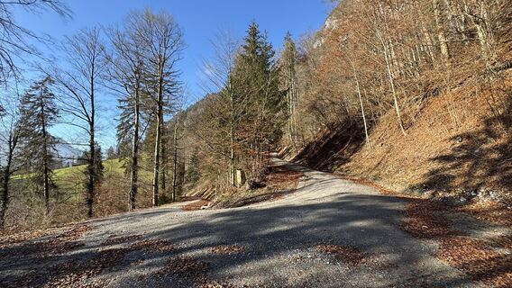 Foto von peter_oe entlang der Tour