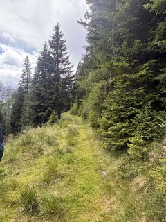 Photo de Benediktus_prim le long du parcours
