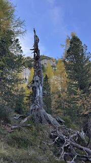 Fotografija s spletne strani ROBERTO BONIOTTI na poti