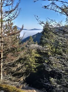Fotografija s spletne strani josef duermoser na poti