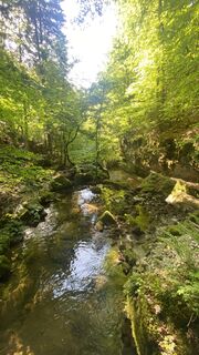 Foto från Michael Jung under resans gång