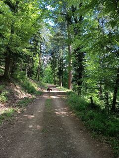 Foto de Daniel BELAT a lo largo del recorrido