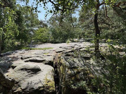 Photo from Norbert Herbig along the tour