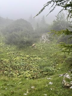 Foto von Miska Mettälä entlang der Tour