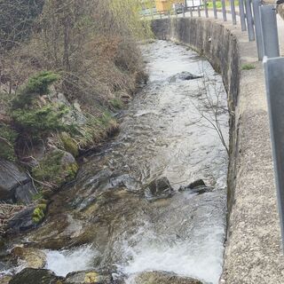 Fotografia z Sonja Enzenhofer na trase