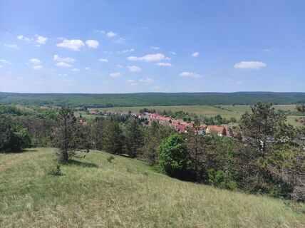 Photo de Làszló Visi le long du parcours
