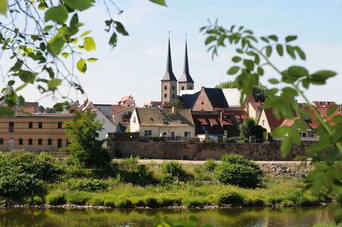 Blick auf die Altstadt Grimma