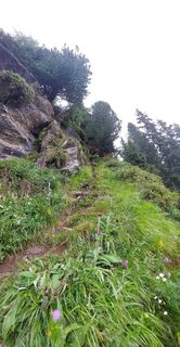 Fotografie de la Linus de-a lungul turului