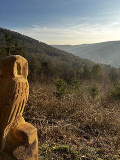 Foto von Volkmar Heller entlang der Tour