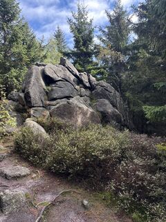 Fotografija s spletne strani Sebastian xxxx na poti