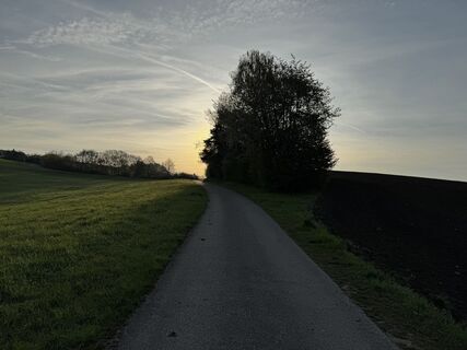 Foto von Schaali entlang der Tour
