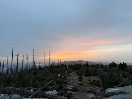 Photo de Dani Geiger / Natur_erleben_dg le long du parcours