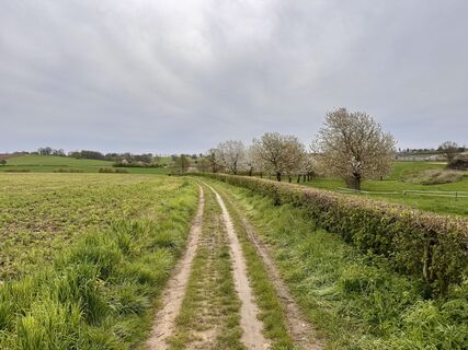 Foto de Les aventures de Ghislain a lo largo del recorrido