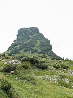 Foto von Ingrid Weinberger entlang der Tour
