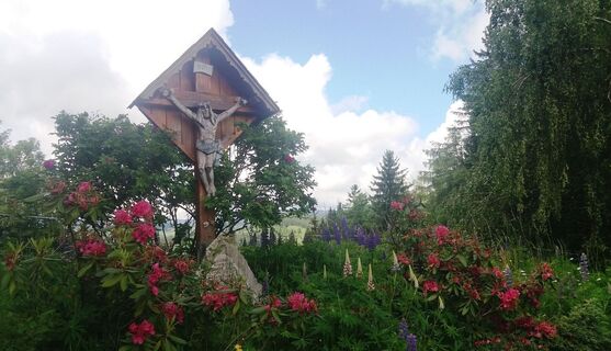 Durch_einen_schönen_Hochwald_Wanderkreuz