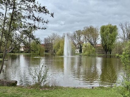 Fotografia z Norbert Herbig na trase