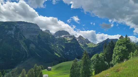 Fotografija s spletne strani Erika Stricker na poti