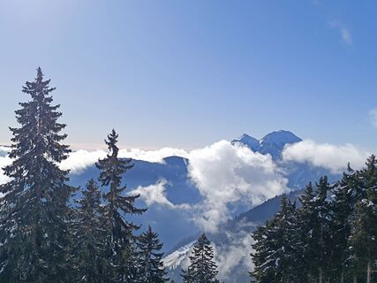 Foto von Whity entlang der Tour