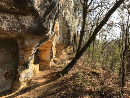 Troglo-Fundstätte im Wald von Campagne©A.Borderie (10)