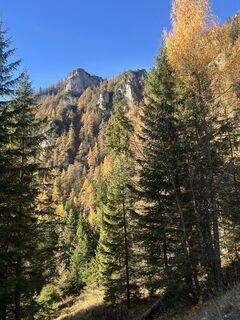Fotografia z Carola Krems na trase