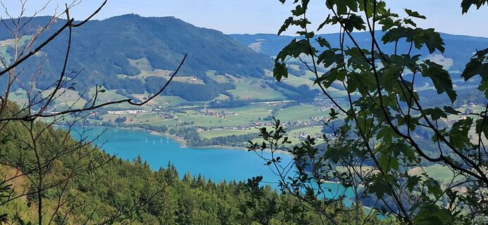 Foto von Buchegger Barbara entlang der Tour