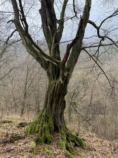 Foto von joeblack0306 entlang der Tour