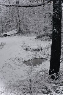 Zdjęcie z Kellner Heidi wzdłuż trasy