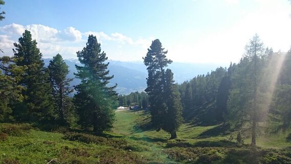 Alpines Gelände am Stoderzinken