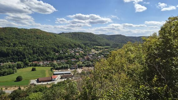 Photo de Mario Henkel le long du parcours
